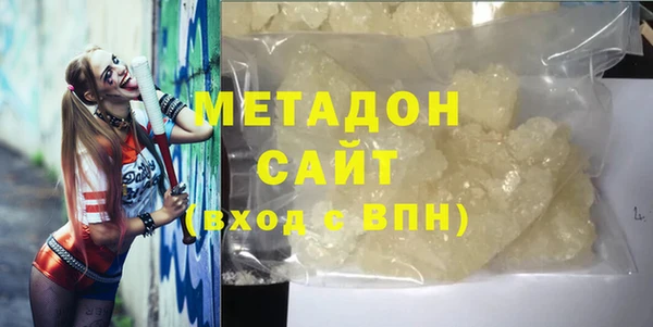 индика Медвежьегорск