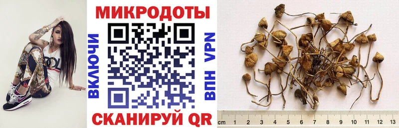 как найти наркотики shop какой сайт Псилоцибиновые грибы мицелий Вихоревка